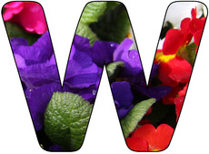 Deko-Buchstaben-Blumen_W.jpg